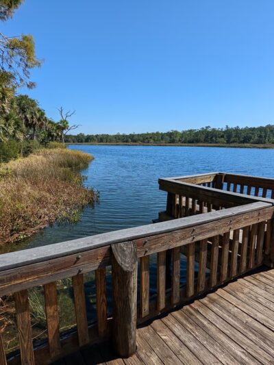 St Marks River Park - St Marks, FL