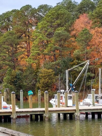 Chew Street Park - St Michaels, MD