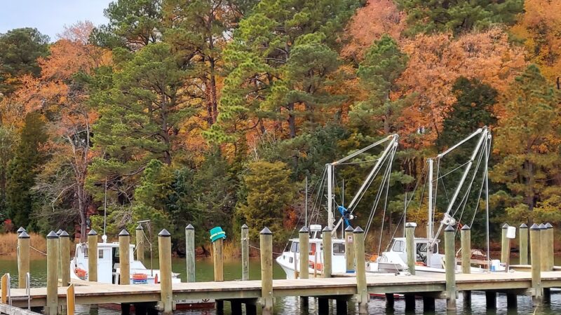 Chew Street Park - St Michaels, MD