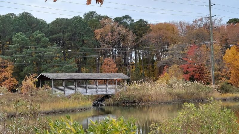 Chew Street Park - St Michaels, MD