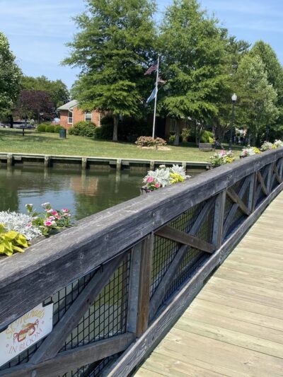 Hollis Park - St Michaels, MD