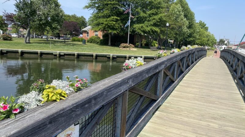 Hollis Park - St Michaels, MD