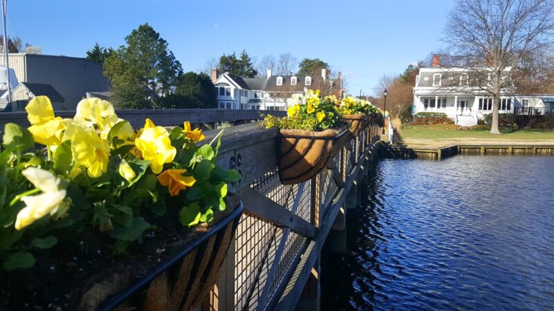 Hollis Park - St Michaels, MD