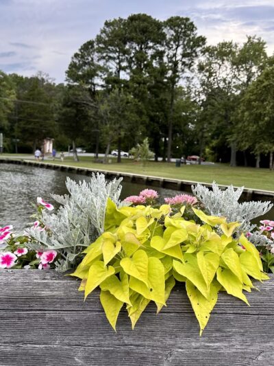 Hollis Park - St Michaels, MD