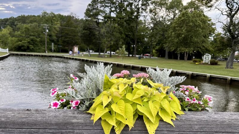 Hollis Park - St Michaels, MD