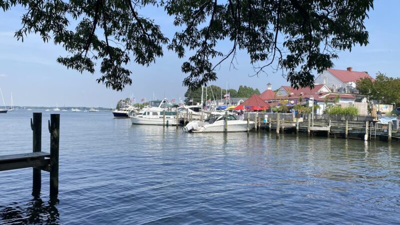 Muskrat Park - St Michaels, MD