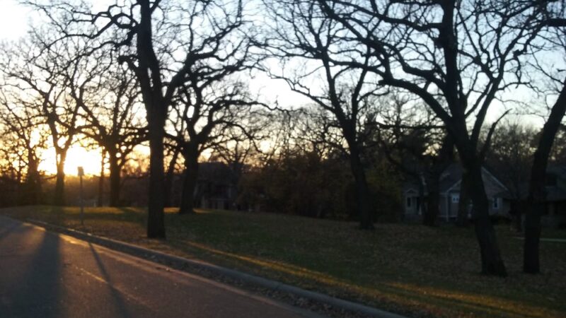 Commonwealth Park - St Paul, MN