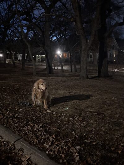 Commonwealth Park - St Paul, MN
