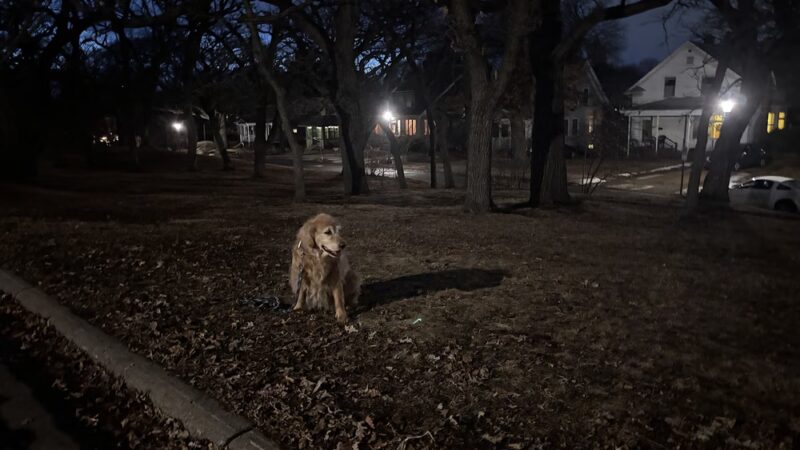 Commonwealth Park - St Paul, MN