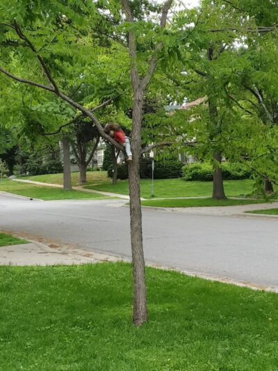 Commonwealth Park - St Paul, MN