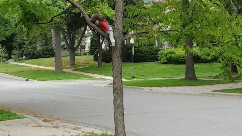 Commonwealth Park - St Paul, MN