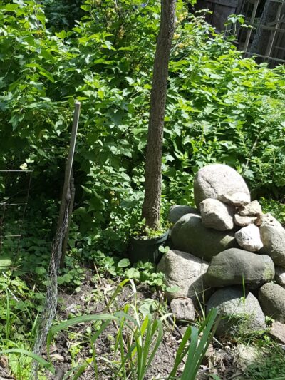 Commonwealth Park - St Paul, MN