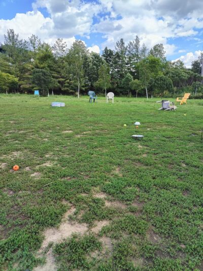 High Bridge Dog Park - St Paul, MN