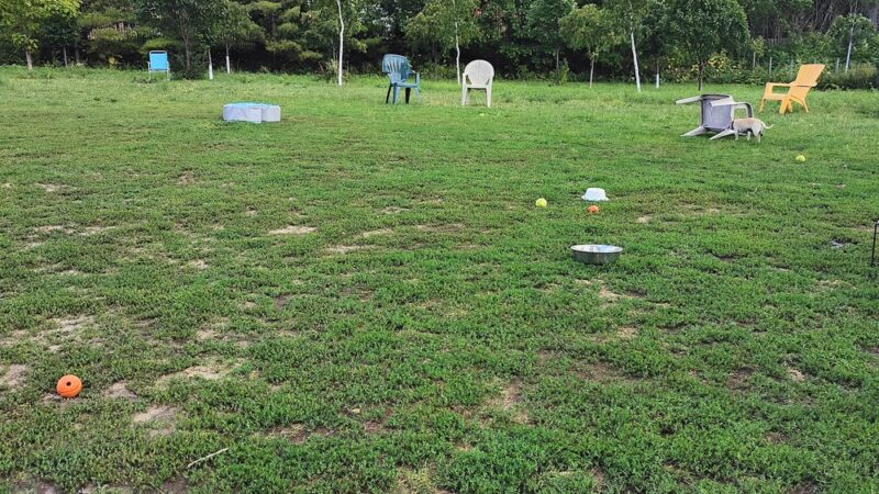 High Bridge Dog Park - St Paul, MN
