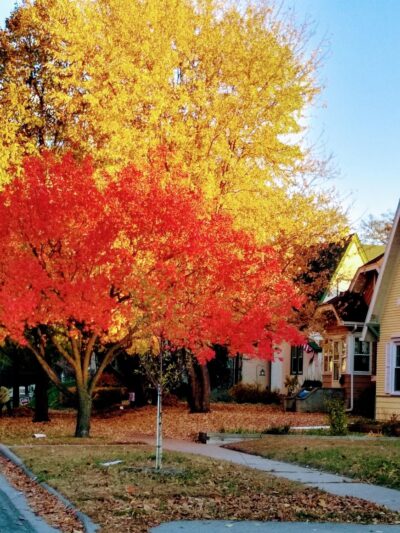 Lane Place Park - St Paul, MN