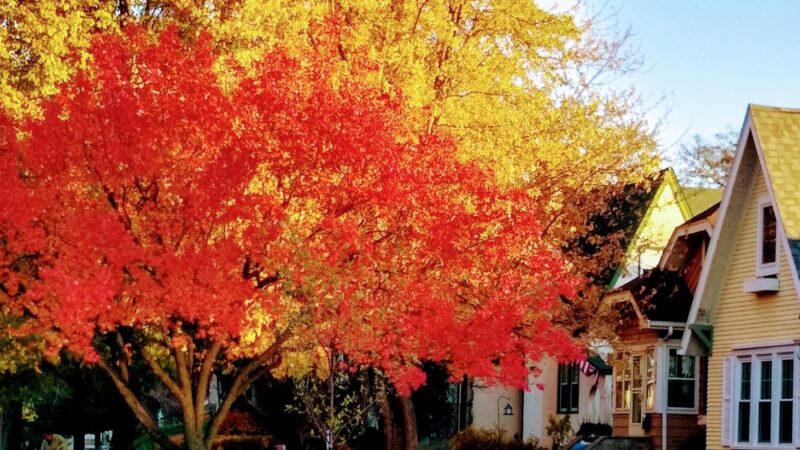 Lane Place Park - St Paul, MN