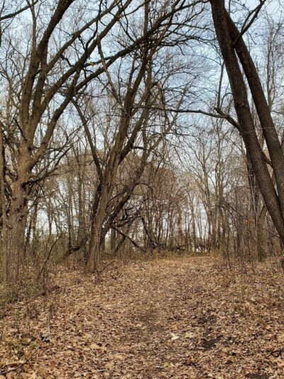 Riverside Park - St Paul Park, MN