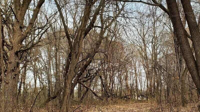 Riverside Park - St Paul Park, MN