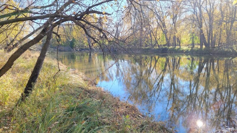 Riverside Park - St Paul Park, MN