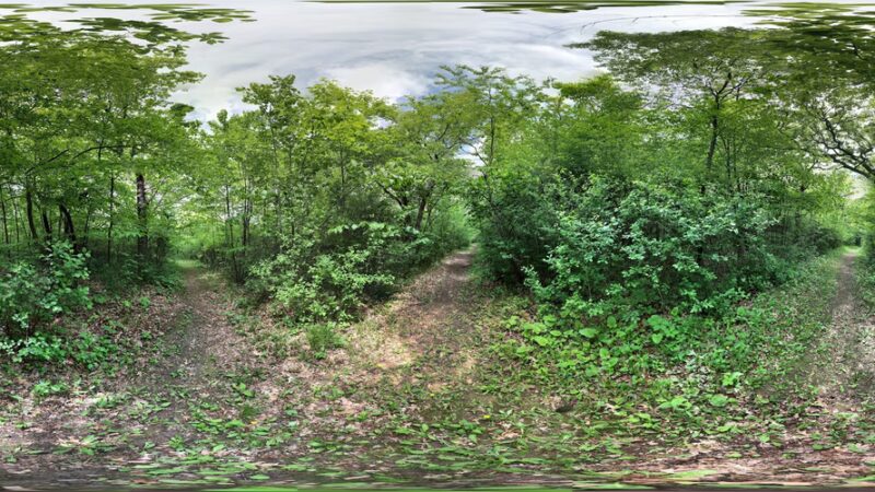 Riverside Park - St Paul Park, MN