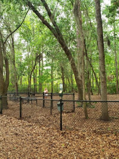 Frederica Park - St Simons Island, GA