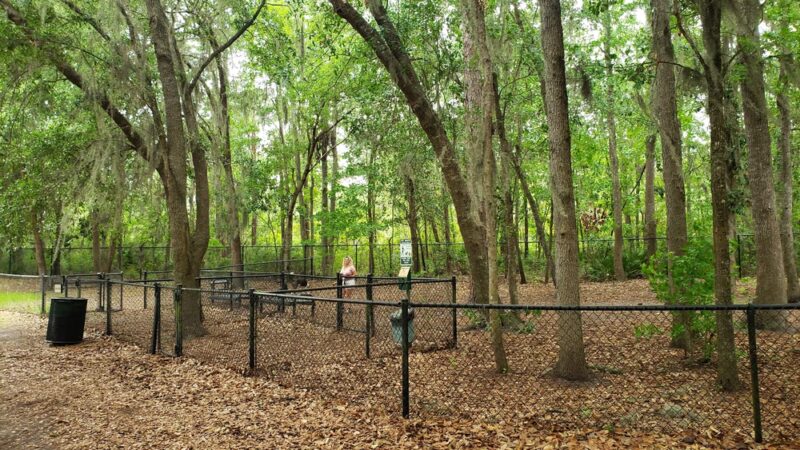 Frederica Park - St Simons Island, GA