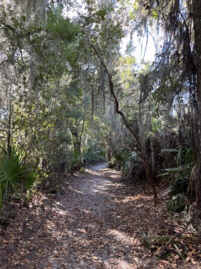 Frederica Park - St Simons Island, GA
