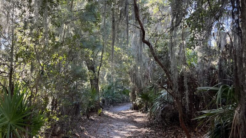 Frederica Park - St Simons Island, GA