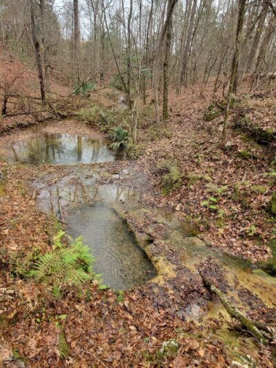 St. Stephens Historical Park - St Stephens, AL