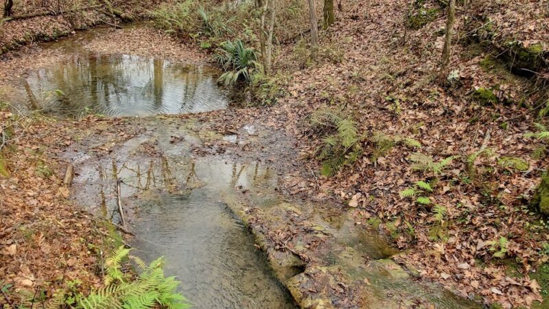 St. Stephens Historical Park - St Stephens, AL