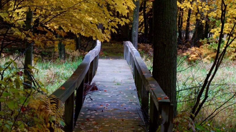 Linwood School Forest And Community Park - Stacy, MN