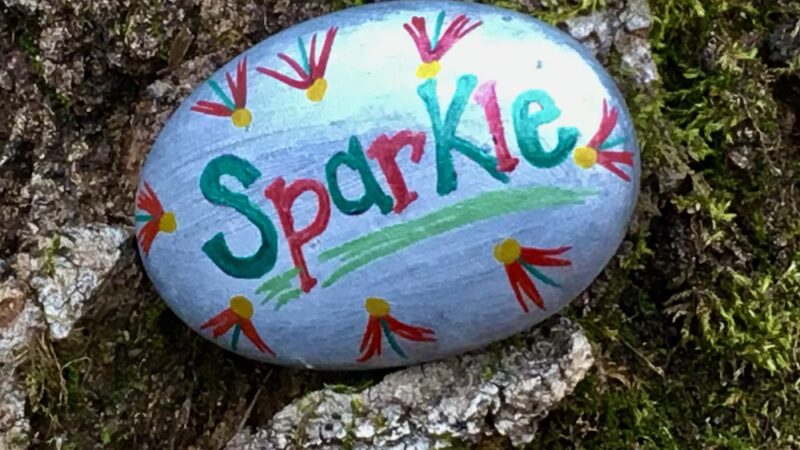 Linwood School Forest And Community Park - Stacy, MN