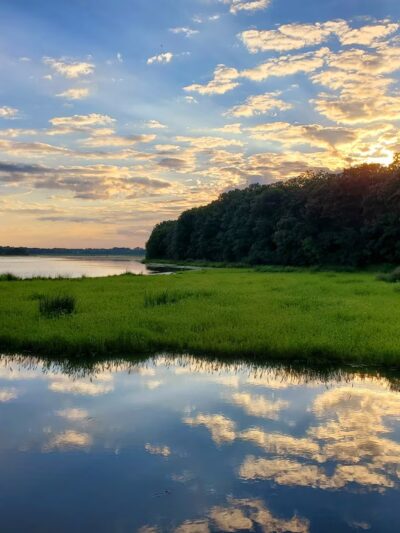 Stacy Dam - Stacy, MN