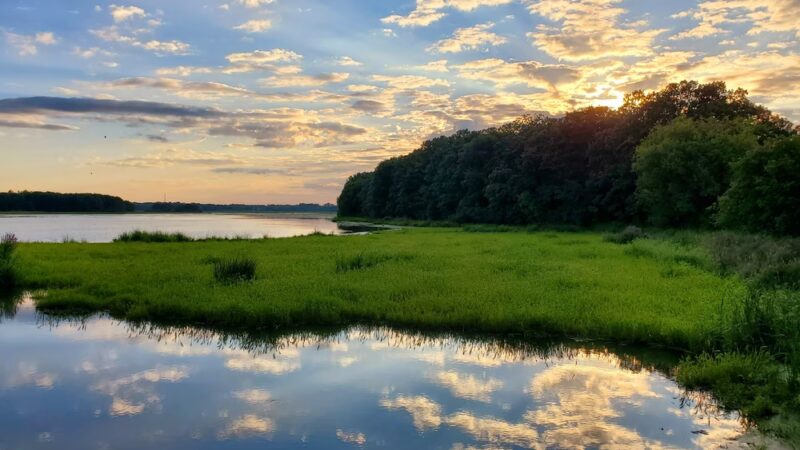 Stacy Dam - Stacy, MN
