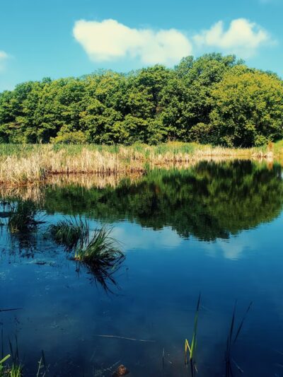 Stacy Dam - Stacy, MN