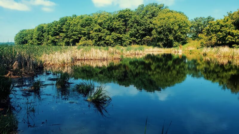 Stacy Dam - Stacy, MN