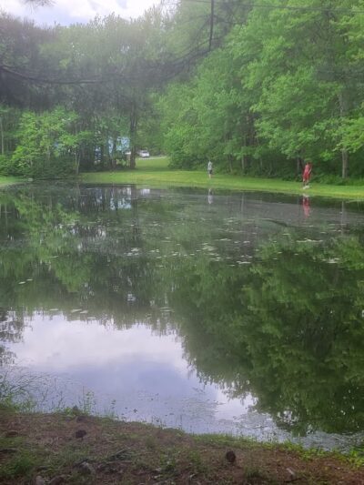 Mineral Springs Family Campground - Stafford Springs, CT