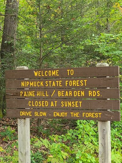 Nipmuck State Forest - Stafford Springs, CT