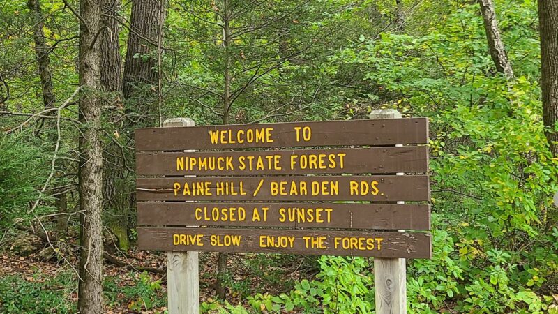 Nipmuck State Forest - Stafford Springs, CT