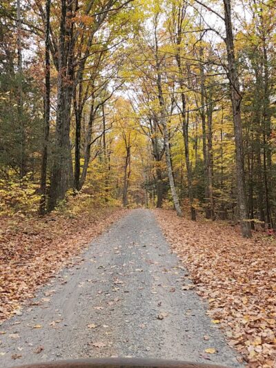 Nipmuck State Forest - Stafford Springs, CT