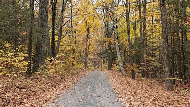Nipmuck State Forest - Stafford Springs, CT