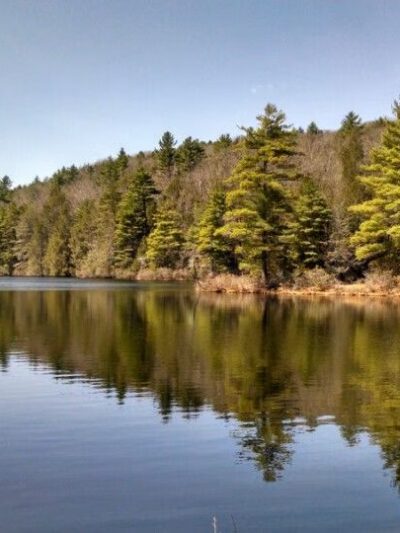 Nipmuck State Forest - Stafford Springs, CT