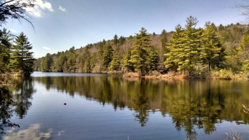 Nipmuck State Forest - Stafford Springs, CT