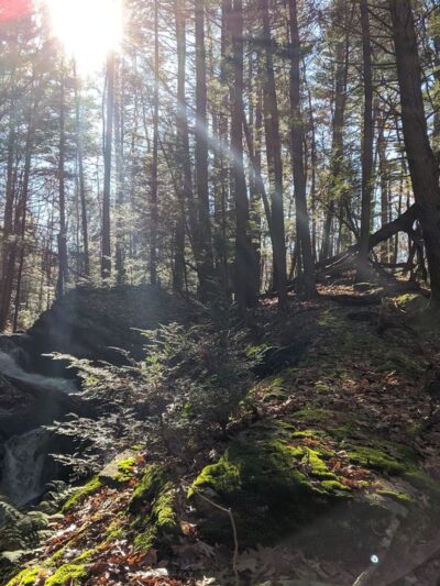 Nipmuck State Forest - Stafford Springs, CT