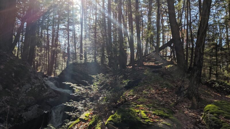Nipmuck State Forest - Stafford Springs, CT