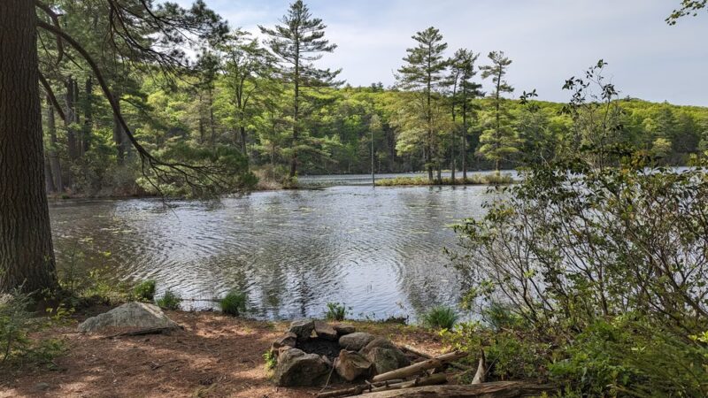 Nipmuck State Forest - Stafford Springs, CT