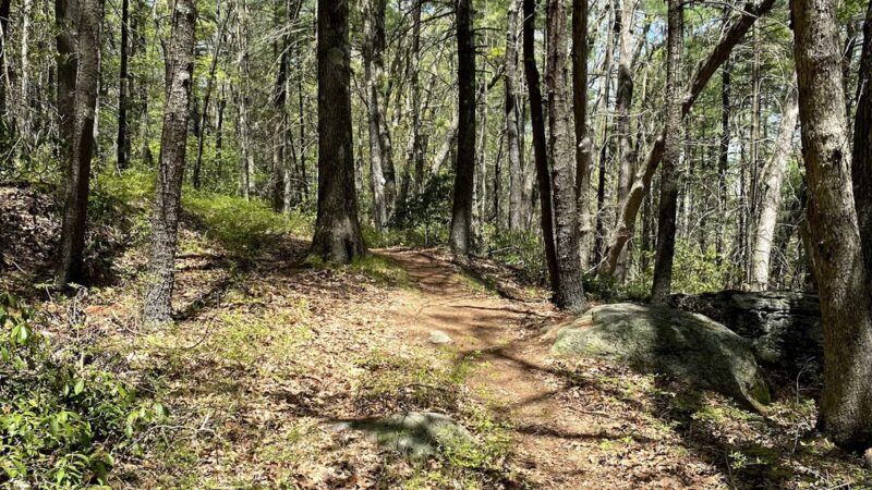 Woodlawn Trail - Stafford Springs, CT