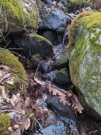 Woodlawn Trail - Stafford Springs, CT