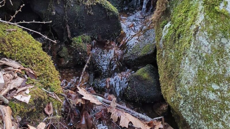 Woodlawn Trail - Stafford Springs, CT