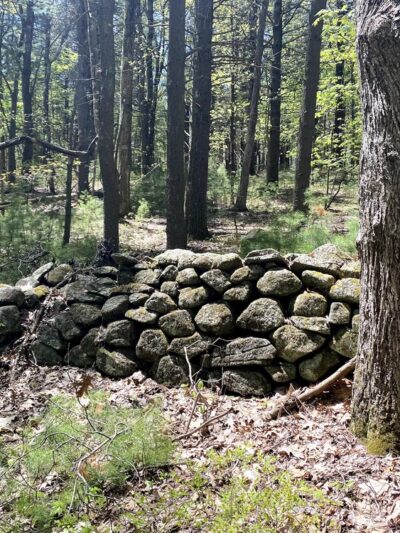 Woodlawn Trail - Stafford Springs, CT